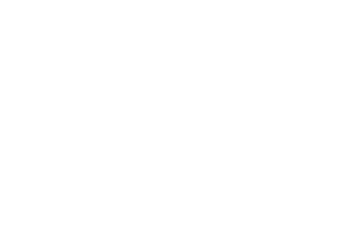 vg_logo